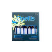 Kit Básico Resina Opallis - FGM