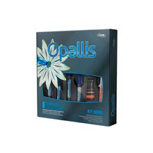 Kit Intro Resina Opallis - FGM