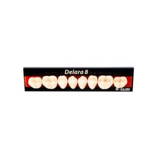 Dente Delara Posterior Inferior - Kulzer