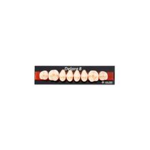 Dente Delara Posterior Superior - Kulzer